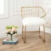 Miley Faux Fur Dining Chair Gold - Abbyson Living -Dining Chairs And Benches Official Shop unnamed file 10011