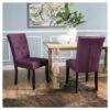 Set of 2 Nyomi Dining Chair - Christopher Knight Home Blue
