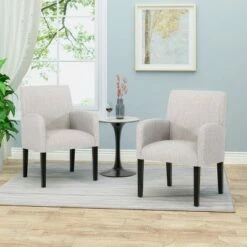 Set of 2 Amnesty Contemporary Dining Chairs - Christopher Knight Home Charcoal