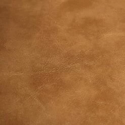 2pc Edler Dining Chairs - Linon Blue 25 2pc Edler Dining Chairs - Linon Blue -Dining Chairs And Benches Official Shop unnamed file 4521