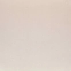 Set of 2 Pebble Contemporary Dining Chairs Gold/Cream - LumiSource 18 Set of 2 Pebble Contemporary Dining Chairs Gold/Cream - LumiSource -Dining Chairs And Benches Official Shop unnamed file 5665