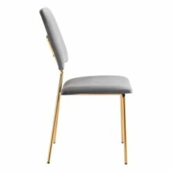 Set of 2 Cecilia Dining Chairs Gray/Gold - ZM Home