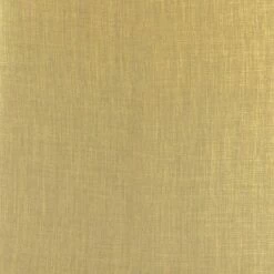 Set of 2 Opalo Dining Chairs Pea Green - ZM Home -Dining Chairs And Benches Official Shop unnamed file 6852