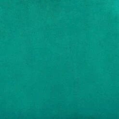 Set of 2 Cecilia Dining Chairs Green/Gold - ZM Home -Dining Chairs And Benches Official Shop unnamed file 7108