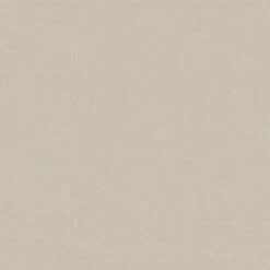 Penny Dining Chair - Amisco Cream/gray -Dining Chairs And Benches Official Shop unnamed file 7522