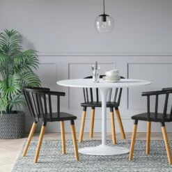 Set of 2 Balboa Barrel Back Dining Chair - Project 62™ Black/wood