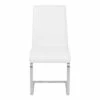 Set of 2 Deneki Contemporary Dining Chair White/Steel - Armen Living