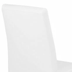 Set of 2 Deneki Contemporary Dining Chair White/Steel - Armen Living -Dining Chairs And Benches Official Shop unnamed file 7827