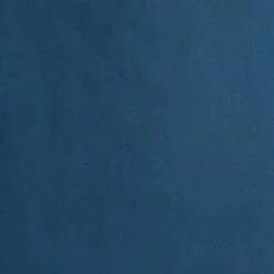 Studio 55D Dillan Modern Blue Tufted Dining Chairs Set of 2