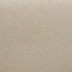 Set of 2 Alma Dining Armless Chairs Cream - Treasure Trove Accents -Dining Chairs And Benches Official Shop unnamed file 8570