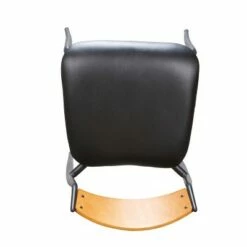 Set of 2 Kyler Metal Side Chairs Black - Linon 14 Set of 2 Kyler Metal Side Chairs Black - Linon -Dining Chairs And Benches Official Shop unnamed file 9372