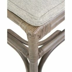 Set of 2 Alana Rattan Side Chair Brown - East at Main -Dining Chairs And Benches Official Shop unnamed file 9809